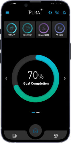 Pura goal completion flow, old design, screen 1 of 6