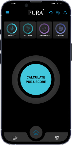 Pura Score flow, old design, screen 1 of 5