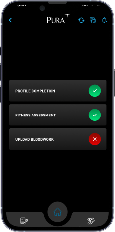 Pura Score flow, old design, screen 2 of 5
